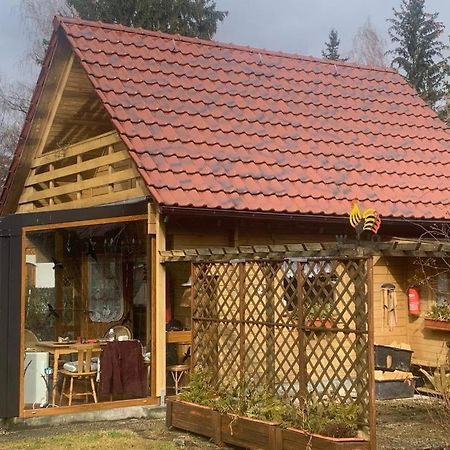 Holzhaus Mit Direktem Wasserzugang In Berlin-Koepenick 외부 사진